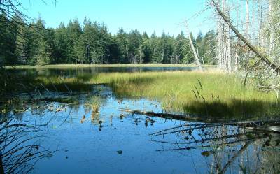 b2ap3_thumbnail_Chickadee-Lake.jpg