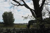 central saanich pasture