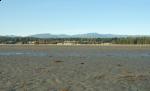 parksville beach